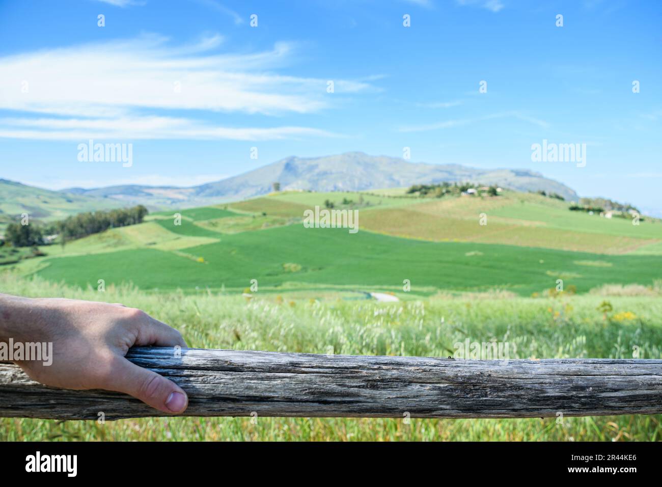 Handgehaltenes Holzgeländer mit wunderschönem Landschaftshintergrund mit Pflanzen Stockfoto