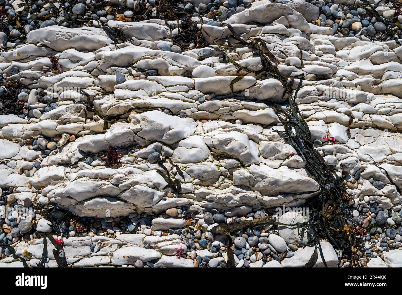 Kieselsteine und Kreidefelsen an einem Strand in Dorset für Wandmalereien Stockfoto