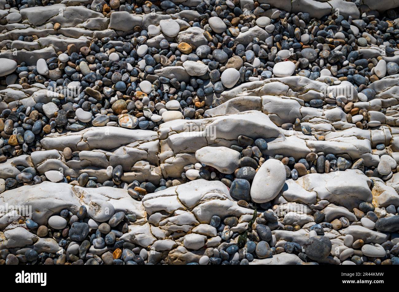 Kieselsteine und Kreidefelsen an einem Strand in Dorset für Wandmalereien Stockfoto