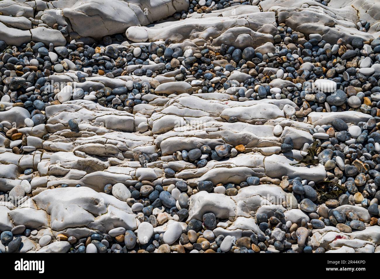 Kieselsteine und Kreidefelsen an einem Strand in Dorset für Wandmalereien Stockfoto