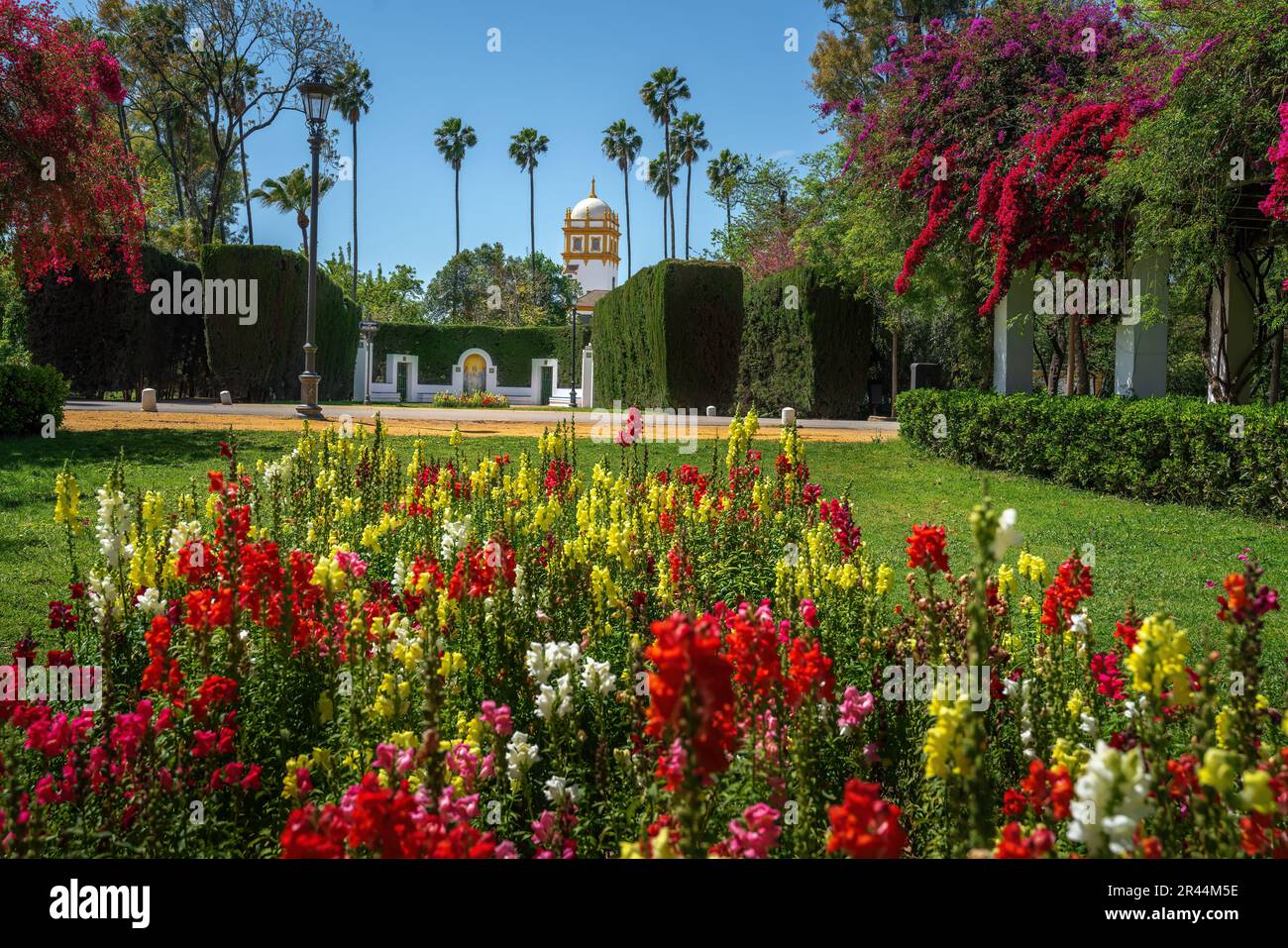 Glorieta de Ofelia Nieto (Kreisverkehr von Ofelia Nieto) im Maria Luisa Park - Sevilla, Andalusien, Spanien Stockfoto