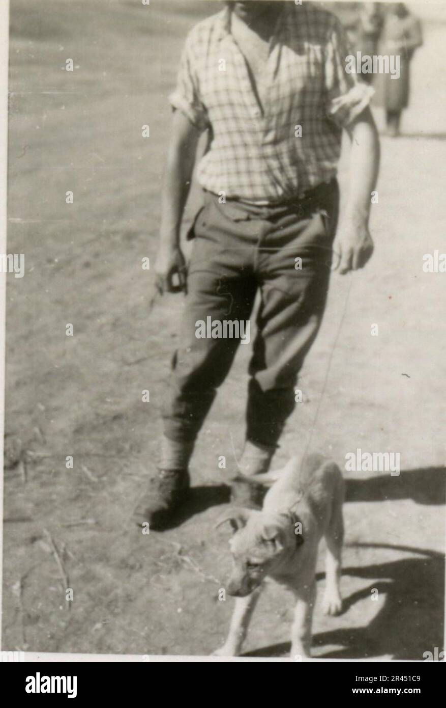 Gunter Alquen (Leibstandarte Adolf Hitler, Griechenland 1941), ein SS-Fotograf, dokumentierte Nazi-Gräueltaten in Griechenland während des Zweiten Weltkriegs Seine Linse erfasste den Schrecken und das Leid, das unschuldigen Zivilisten und Widerstandskämpfern zugefügt wurde. Bilder von Sepp Dietrich, begleitet von Offizieren, aufgenommen in Fotografien neben Soldaten, griechischen Soldaten und Zivilisten, griechischer Landschaft, Gebäuden, Pontonbrücken-Operationen. Zahlreiche Fahrzeuge mit taktischen Symbolen und den Folgen der Zerstörung: Zerstörte Gebäude, Fahrzeuge, Ausrüstung. Artilleriebeschüsse und Szenen, die einen vom Krieg zerrütteten Countr darstellen Stockfoto