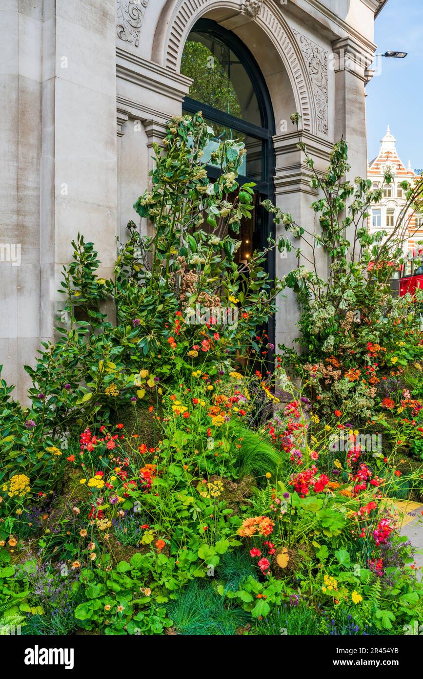 Eine Blumenausstellung vor einem Geschäft in Chelsea während der jährlichen Blumenausstellung von Chelsea in Bloom in London, Großbritannien Stockfoto