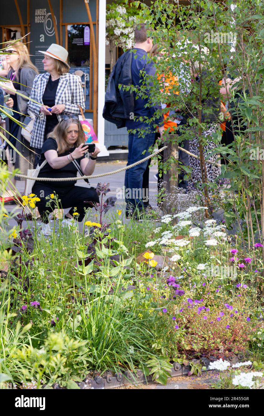 Eine Besucherin, die die Gartenblumen fotografiert, Chelsea Flower Show 2023; Chelsea London UK Stockfoto