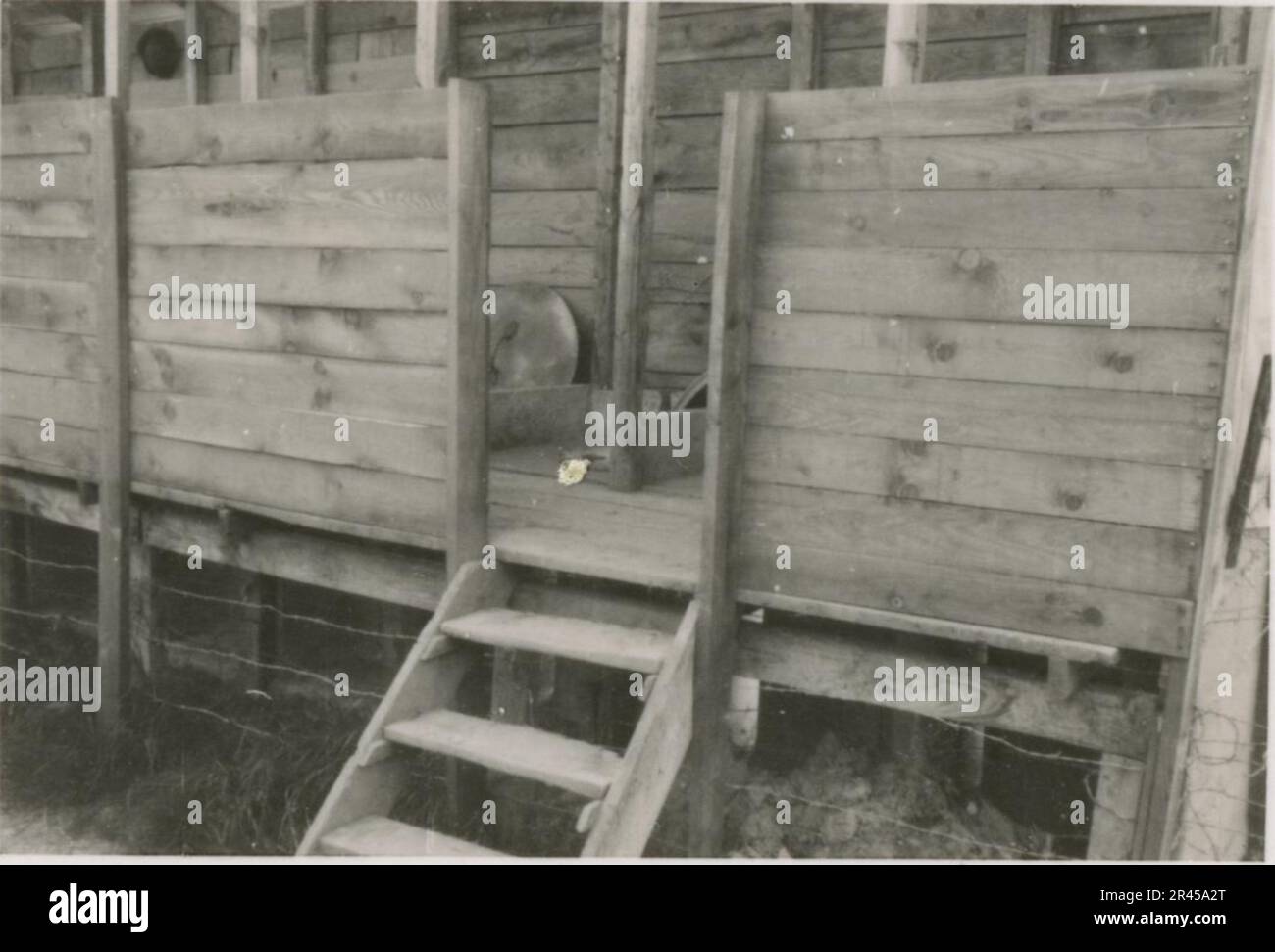 Augustin, Paul, SS-Fotograf der Leibstandarte Adolf Hitler. Dokumentierte Ereignisse in Holland, Frankreich (1940) und Russland (1941-43). Französische Kriegsgefangene, Brückenbau, Panzerabwehrmannschaft, Maschinengewehrmannschaft, Fahrzeugkonvois auf der Straße und in Städten, belgische Festungen, Kriegsgefangenenlager, Zerstörungsszenen, Nachkampf- und Besatzungsaktivitäten, Trainings- und Sportaktivitäten, Hitlerjugend und Bund Deutsche Mädchen Sportliche Aktivitäten und kulturelle Darbietungen, Unit Formations und Zeremonien, Feldlazarett, Einzel- und Gruppenfotos, leichte Flugabwehr Stockfoto