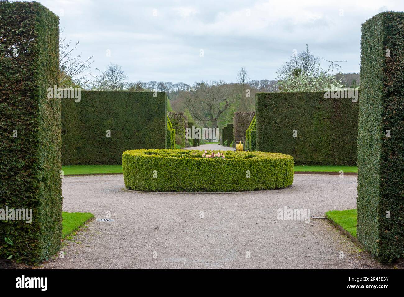 Die lange Grenze, mit Eibe- und Kastenabsicherung, RHS Rosemoor, Devon, Vereinigtes Königreich Stockfoto