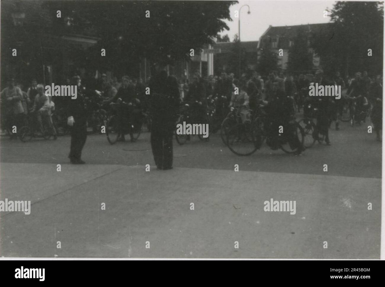 Augustin, Paul, SS-Fotograf der Leibstandarte Adolf Hitler. Dokumentierte Ereignisse in Holland, Frankreich (1940) und Russland (1941-43). Französische Kriegsgefangene, Brückenbau, Panzerabwehrmannschaft, Maschinengewehrmannschaft, Fahrzeugkonvois auf der Straße und in Städten, belgische Festungen, Kriegsgefangenenlager, Zerstörungsszenen, Nachkampf- und Besatzungsaktivitäten, Trainings- und Sportaktivitäten, Hitlerjugend und Bund Deutsche Mädchen Sportliche Aktivitäten und kulturelle Darbietungen, Unit Formations und Zeremonien, Feldlazarett, Einzel- und Gruppenfotos, leichte Flugabwehr Stockfoto