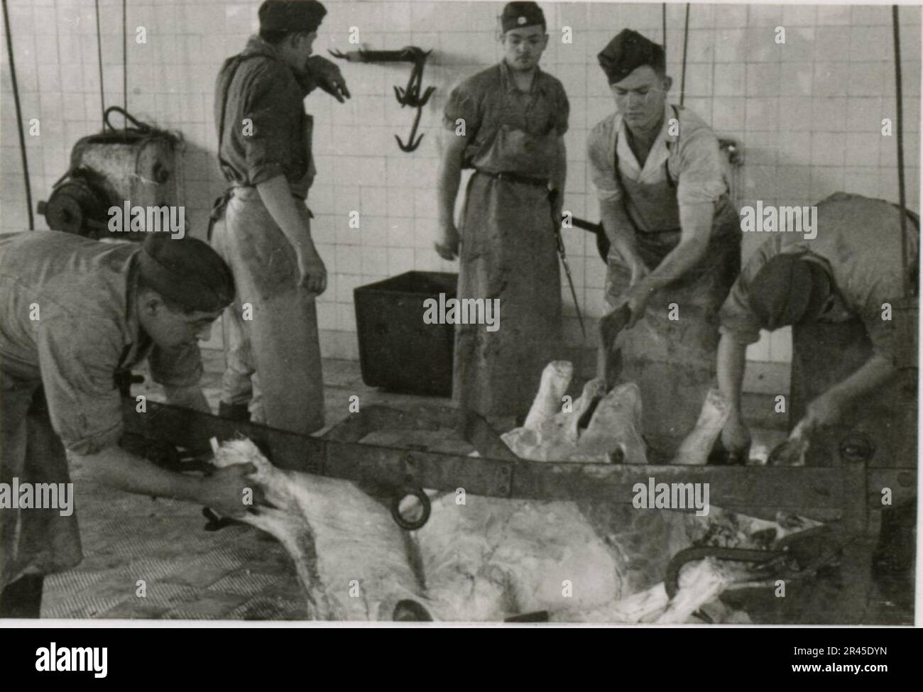 Augustin, Paul, SS-Fotograf der Leibstandarte Adolf Hitler. Dokumentierte Ereignisse in Holland, Frankreich (1940) und Russland (1941-43). Französische Kriegsgefangene, Brückenbau, Panzerabwehrmannschaft, Maschinengewehrmannschaft, Fahrzeugkonvois auf der Straße und in Städten, belgische Festungen, Kriegsgefangenenlager, Zerstörungsszenen, Nachkampf- und Besatzungsaktivitäten, Trainings- und Sportaktivitäten, Hitlerjugend und Bund Deutsche Mädchen Sportliche Aktivitäten und kulturelle Darbietungen, Unit Formations und Zeremonien, Feldlazarett, Einzel- und Gruppenfotos, leichte Flugabwehr Stockfoto