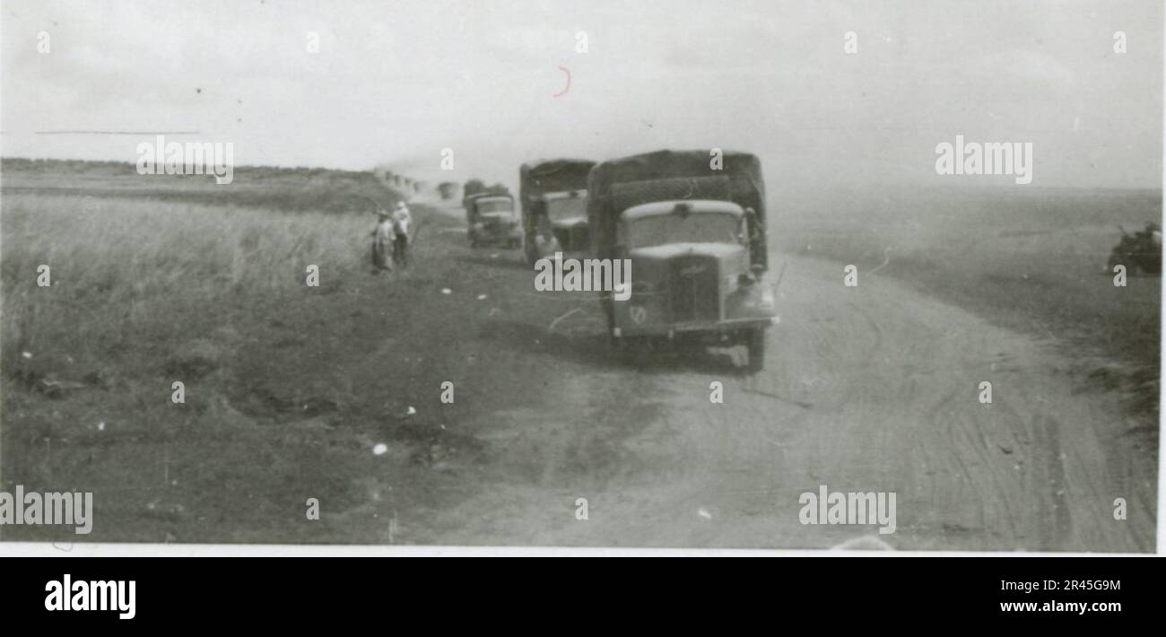 Augustin, Paul, SS-Fotograf der Leibstandarte Adolf Hitler. Dokumentierte Ereignisse in Holland, Frankreich (1940) und Russland (1941-43). Französische Kriegsgefangene, Brückenbau, Panzerabwehrmannschaft, Maschinengewehrmannschaft, Fahrzeugkonvois auf der Straße und in Städten, belgische Festungen, Kriegsgefangenenlager, Zerstörungsszenen, Nachkampf- und Besatzungsaktivitäten, Trainings- und Sportaktivitäten, Hitlerjugend und Bund Deutsche Mädchen Sportliche Aktivitäten und kulturelle Darbietungen, Unit Formations und Zeremonien, Feldlazarett, Einzel- und Gruppenfotos, leichte Flugabwehr Stockfoto