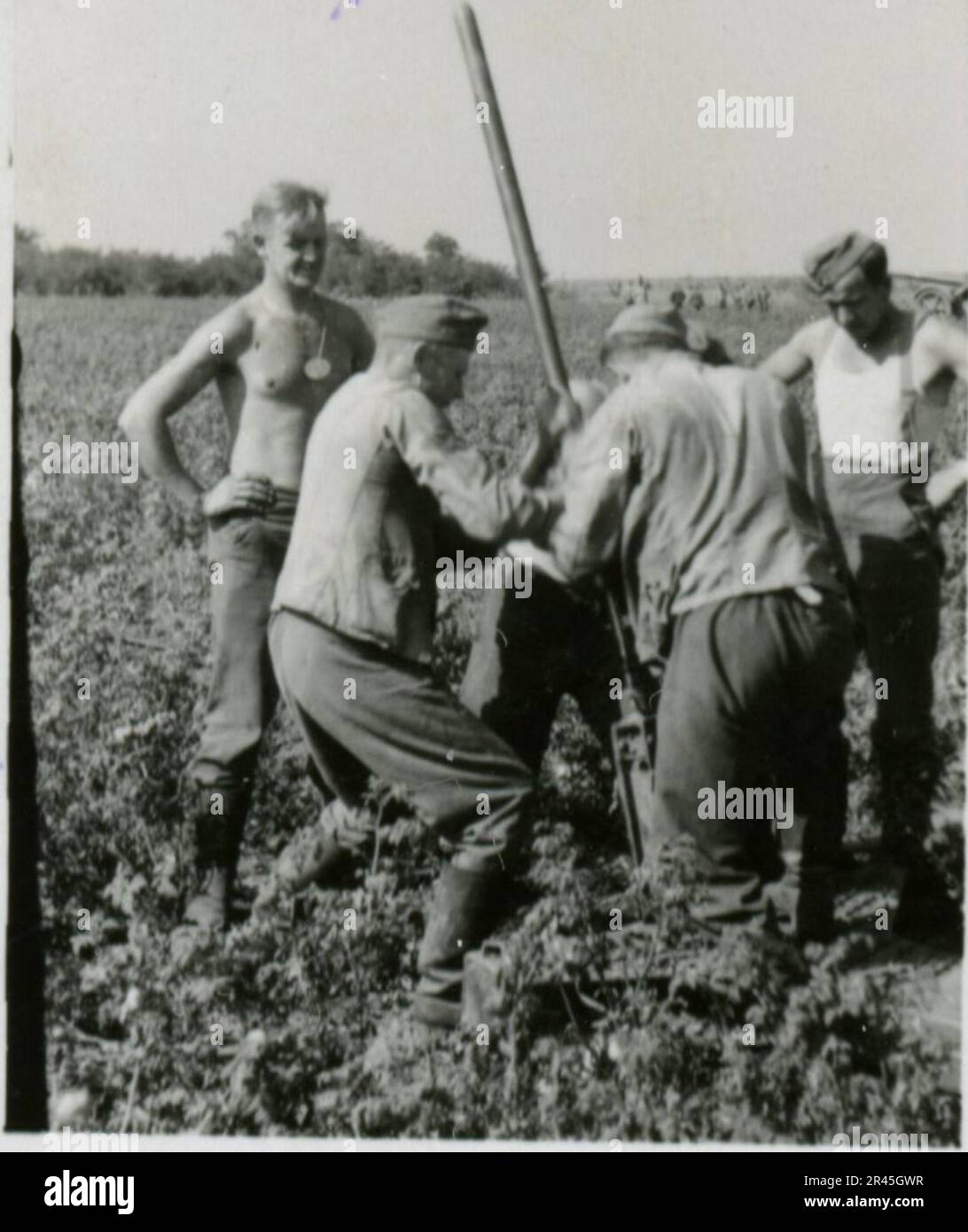 Augustin, Paul, SS-Fotograf der Leibstandarte Adolf Hitler. Dokumentierte Ereignisse in Holland, Frankreich (1940) und Russland (1941-43). Französische Kriegsgefangene, Brückenbau, Panzerabwehrmannschaft, Maschinengewehrmannschaft, Fahrzeugkonvois auf der Straße und in Städten, belgische Festungen, Kriegsgefangenenlager, Zerstörungsszenen, Nachkampf- und Besatzungsaktivitäten, Trainings- und Sportaktivitäten, Hitlerjugend und Bund Deutsche Mädchen Sportliche Aktivitäten und kulturelle Darbietungen, Unit Formations und Zeremonien, Feldlazarett, Einzel- und Gruppenfotos, leichte Flugabwehr Stockfoto