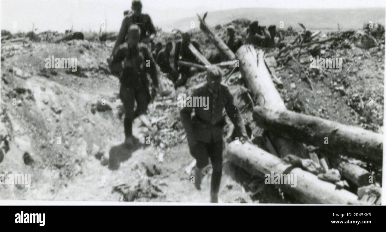 Augustin, Paul, SS-Fotograf der Leibstandarte Adolf Hitler. Dokumentierte Ereignisse in Holland, Frankreich (1940) und Russland (1941-43). Französische Kriegsgefangene, Brückenbau, Panzerabwehrmannschaft, Maschinengewehrmannschaft, Fahrzeugkonvois auf der Straße und in Städten, belgische Festungen, Kriegsgefangenenlager, Zerstörungsszenen, Nachkampf- und Besatzungsaktivitäten, Trainings- und Sportaktivitäten, Hitlerjugend und Bund Deutsche Mädchen Sportliche Aktivitäten und kulturelle Darbietungen, Unit Formations und Zeremonien, Feldlazarett, Einzel- und Gruppenfotos, leichte Flugabwehr Stockfoto