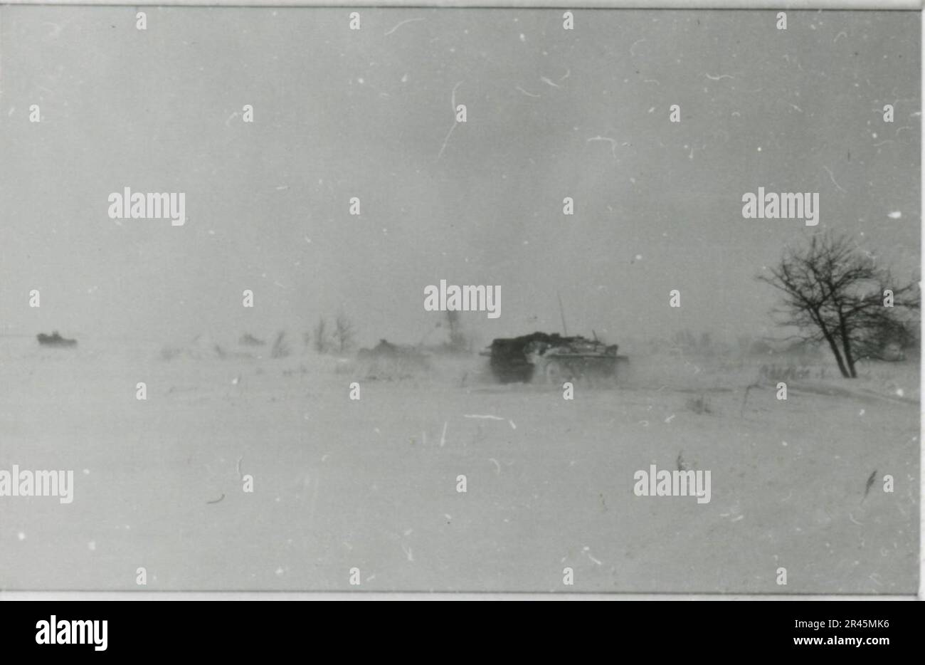 Augustin, Paul, SS-Fotograf der Leibstandarte Adolf Hitler. Dokumentierte Ereignisse in Holland, Frankreich (1940) und Russland (1941-43). Französische Kriegsgefangene, Brückenbau, Panzerabwehrmannschaft, Maschinengewehrmannschaft, Fahrzeugkonvois auf der Straße und in Städten, belgische Festungen, Kriegsgefangenenlager, Zerstörungsszenen, Nachkampf- und Besatzungsaktivitäten, Trainings- und Sportaktivitäten, Hitlerjugend und Bund Deutsche Mädchen Sportliche Aktivitäten und kulturelle Darbietungen, Unit Formations und Zeremonien, Feldlazarett, Einzel- und Gruppenfotos, leichte Flugabwehr Stockfoto