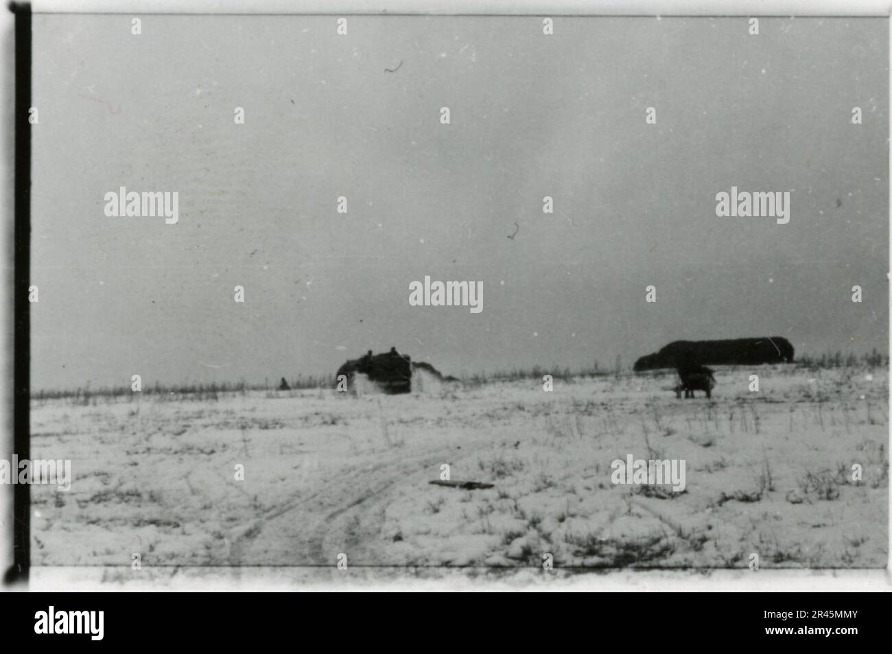 Augustin, Paul, SS-Fotograf der Leibstandarte Adolf Hitler. Dokumentierte Ereignisse in Holland, Frankreich (1940) und Russland (1941-43). Französische Kriegsgefangene, Brückenbau, Panzerabwehrmannschaft, Maschinengewehrmannschaft, Fahrzeugkonvois auf der Straße und in Städten, belgische Festungen, Kriegsgefangenenlager, Zerstörungsszenen, Nachkampf- und Besatzungsaktivitäten, Trainings- und Sportaktivitäten, Hitlerjugend und Bund Deutsche Mädchen Sportliche Aktivitäten und kulturelle Darbietungen, Unit Formations und Zeremonien, Feldlazarett, Einzel- und Gruppenfotos, leichte Flugabwehr Stockfoto