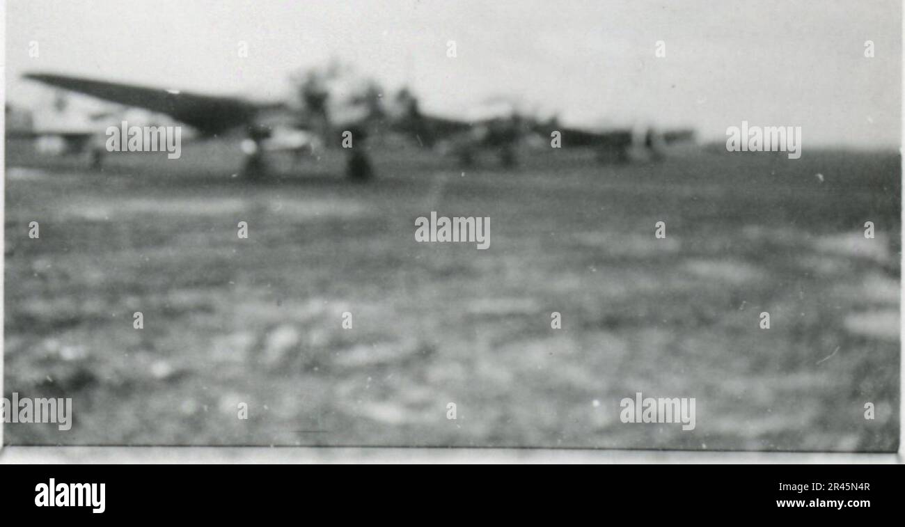 Augustin, Paul, SS-Fotograf der Leibstandarte Adolf Hitler. Dokumentierte Ereignisse in Holland, Frankreich (1940) und Russland (1941-43). Französische Kriegsgefangene, Brückenbau, Panzerabwehrmannschaft, Maschinengewehrmannschaft, Fahrzeugkonvois auf der Straße und in Städten, belgische Festungen, Kriegsgefangenenlager, Zerstörungsszenen, Nachkampf- und Besatzungsaktivitäten, Trainings- und Sportaktivitäten, Hitlerjugend und Bund Deutsche Mädchen Sportliche Aktivitäten und kulturelle Darbietungen, Unit Formations und Zeremonien, Feldlazarett, Einzel- und Gruppenfotos, leichte Flugabwehr Stockfoto