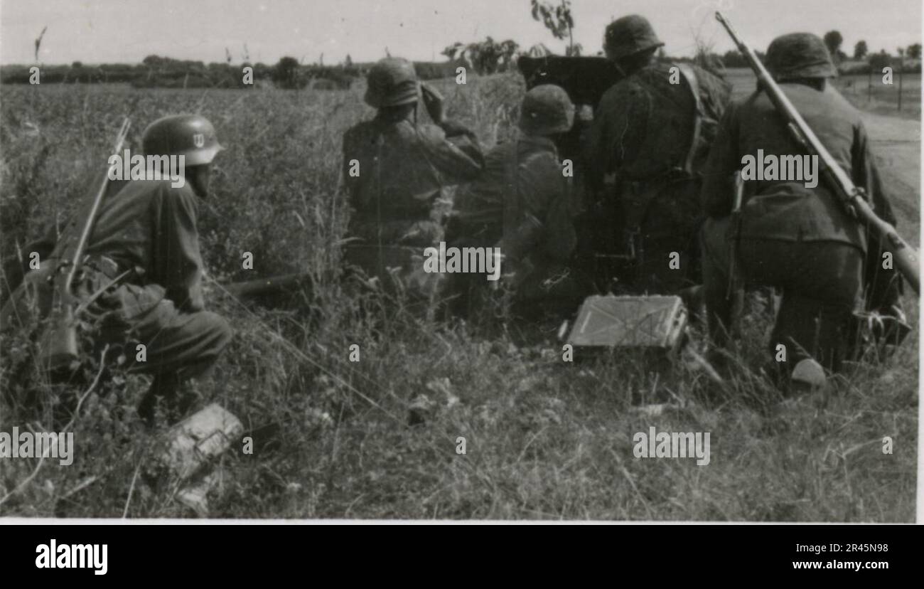 Augustin, Paul, SS-Fotograf der Leibstandarte Adolf Hitler. Dokumentierte Ereignisse in Holland, Frankreich (1940) und Russland (1941-43). Französische Kriegsgefangene, Brückenbau, Panzerabwehrmannschaft, Maschinengewehrmannschaft, Fahrzeugkonvois auf der Straße und in Städten, belgische Festungen, Kriegsgefangenenlager, Zerstörungsszenen, Nachkampf- und Besatzungsaktivitäten, Trainings- und Sportaktivitäten, Hitlerjugend und Bund Deutsche Mädchen Sportliche Aktivitäten und kulturelle Darbietungen, Unit Formations und Zeremonien, Feldlazarett, Einzel- und Gruppenfotos, leichte Flugabwehr Stockfoto