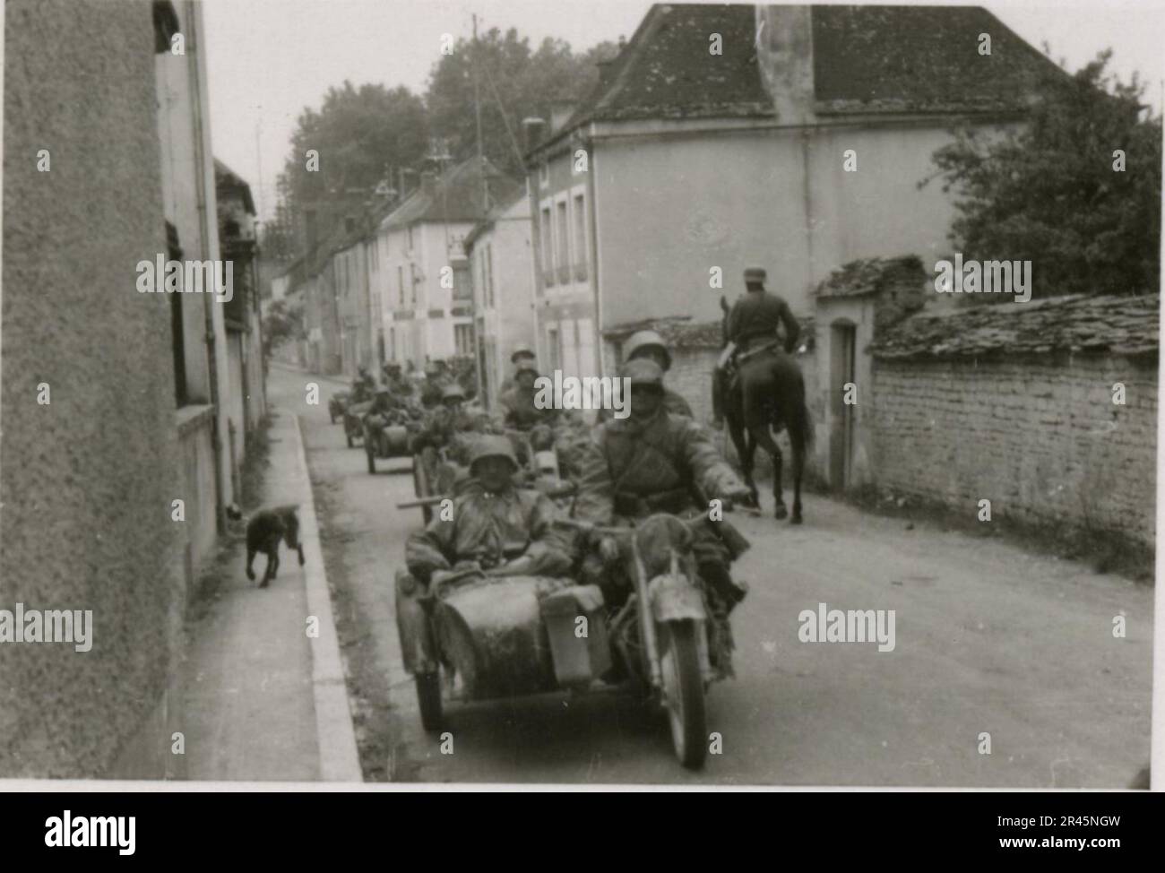 Augustin, Paul, SS-Fotograf der Leibstandarte Adolf Hitler. Dokumentierte Ereignisse in Holland, Frankreich (1940) und Russland (1941-43). Französische Kriegsgefangene, Brückenbau, Panzerabwehrmannschaft, Maschinengewehrmannschaft, Fahrzeugkonvois auf der Straße und in Städten, belgische Festungen, Kriegsgefangenenlager, Zerstörungsszenen, Nachkampf- und Besatzungsaktivitäten, Trainings- und Sportaktivitäten, Hitlerjugend und Bund Deutsche Mädchen Sportliche Aktivitäten und kulturelle Darbietungen, Unit Formations und Zeremonien, Feldlazarett, Einzel- und Gruppenfotos, leichte Flugabwehr Stockfoto