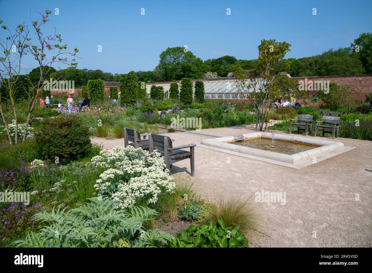 Der Paradiesgarten bei RHS Bridgewater, Worsley Greater Manchester, England. Stockfoto