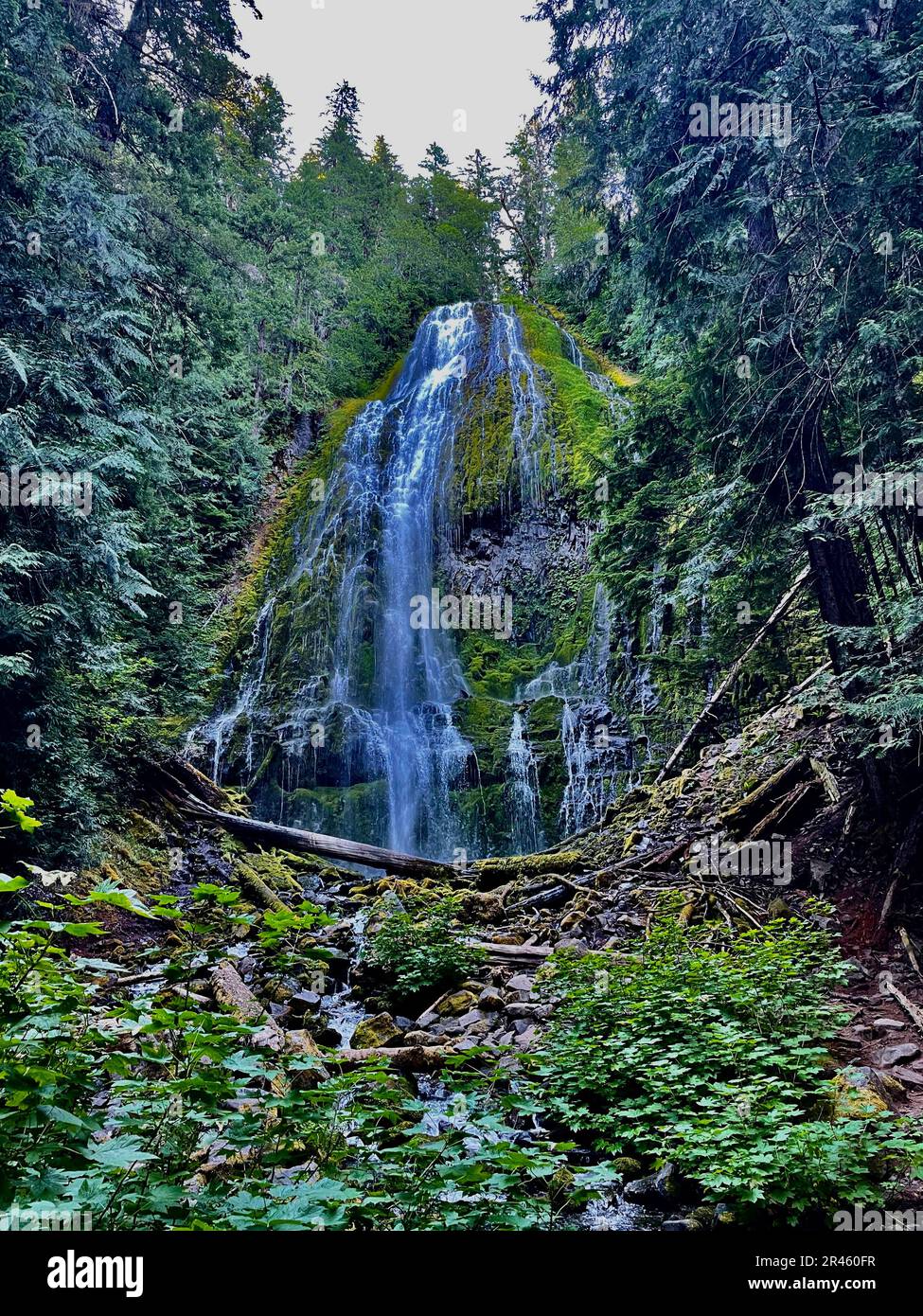 Eine vertikale Aufnahme eines Wasserfalls in Oregon Stockfoto