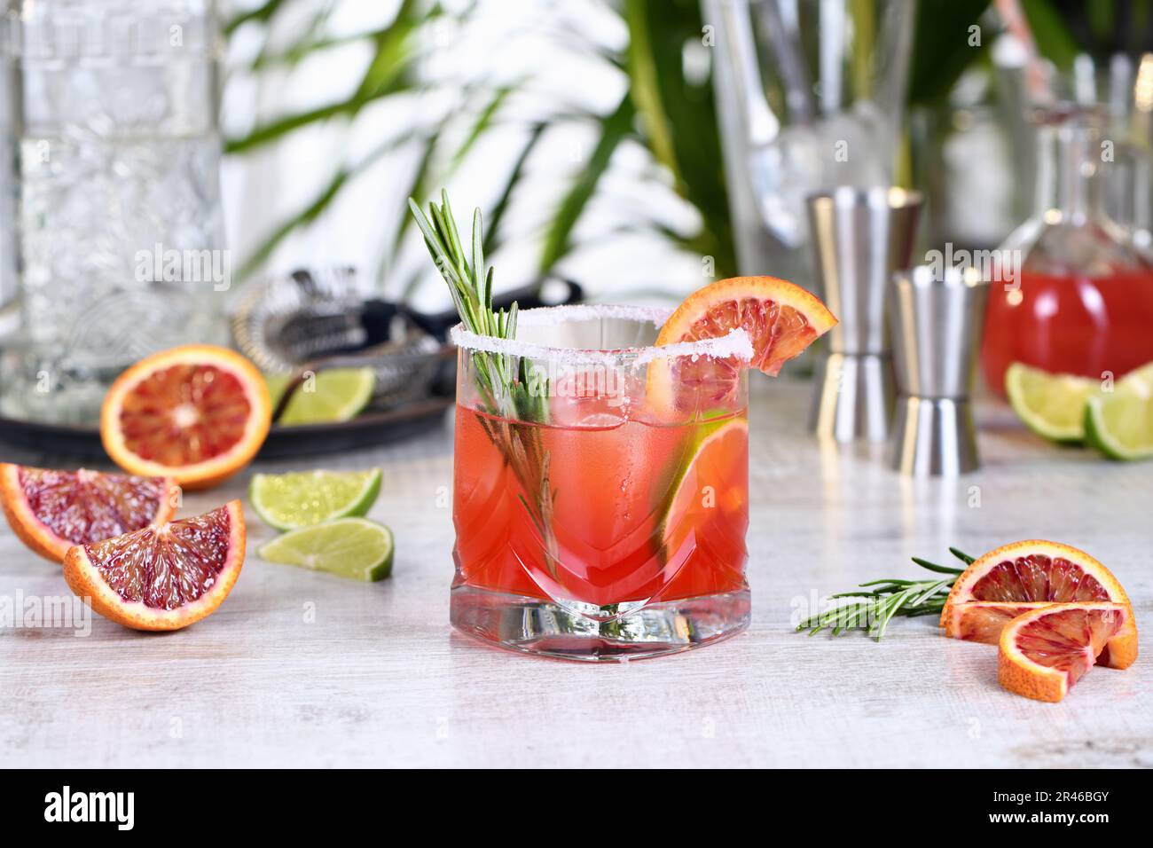 Roter sizilianischer Orange Paloma Cocktail mit Tequila, frischer Limette und Rosmarin mit rotem sizilianischem Orangensaft. Dieser Cocktail ist voller heller Zitrusaromen Stockfoto