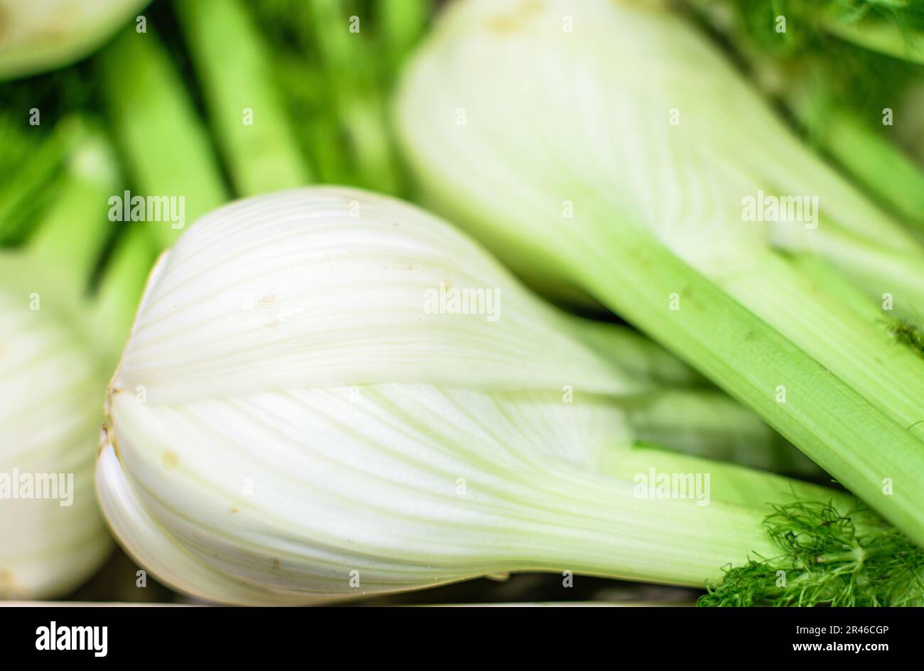 Bild: Fenchel auf dem Markt zum Verzehr. Stockfoto