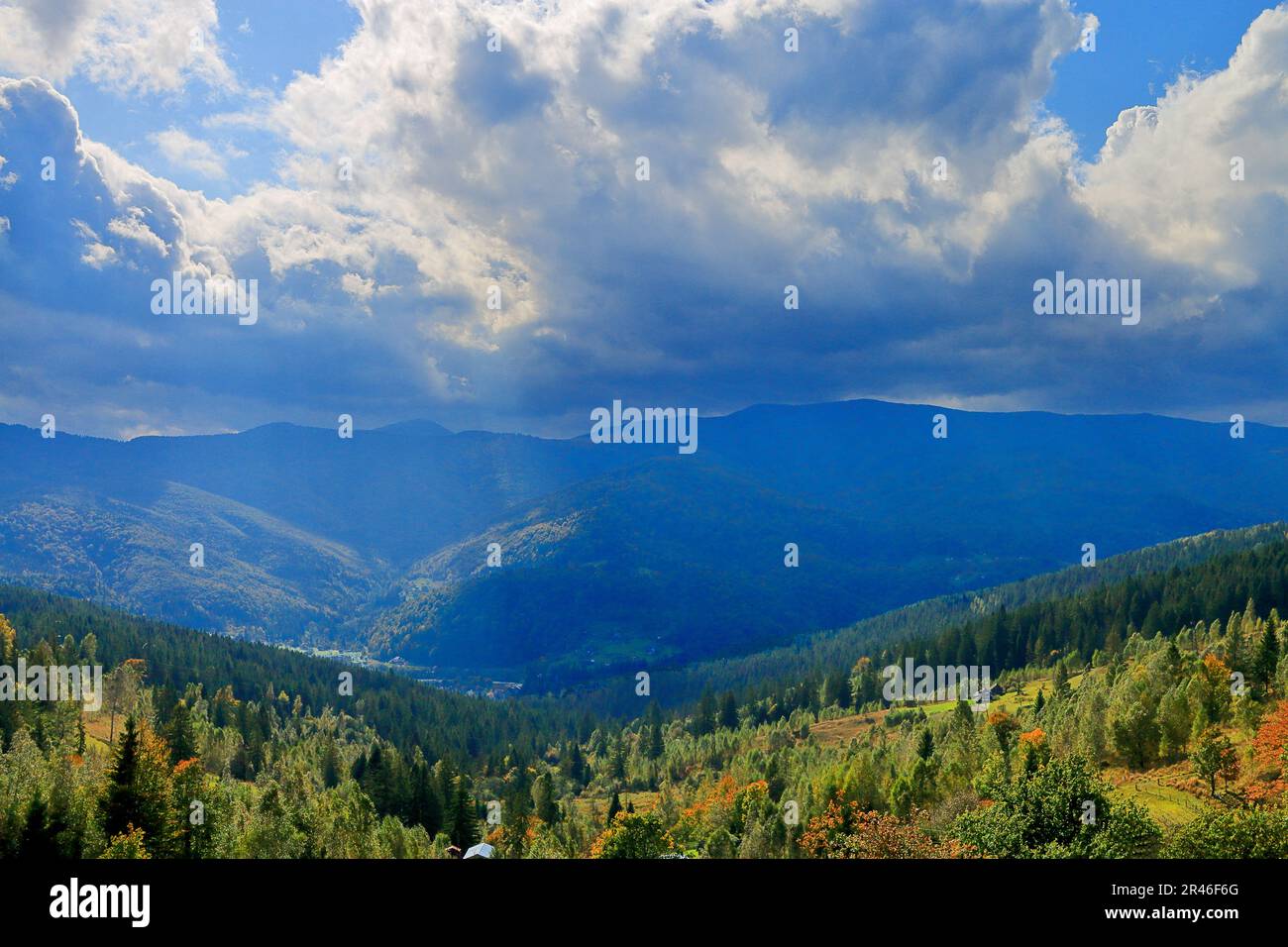 Foto wurde in der Ukraine aufgenommen. Das Bild zeigt die Landschaft der Karpaten in Herbstdekoration nach einem Regenfall. Stockfoto