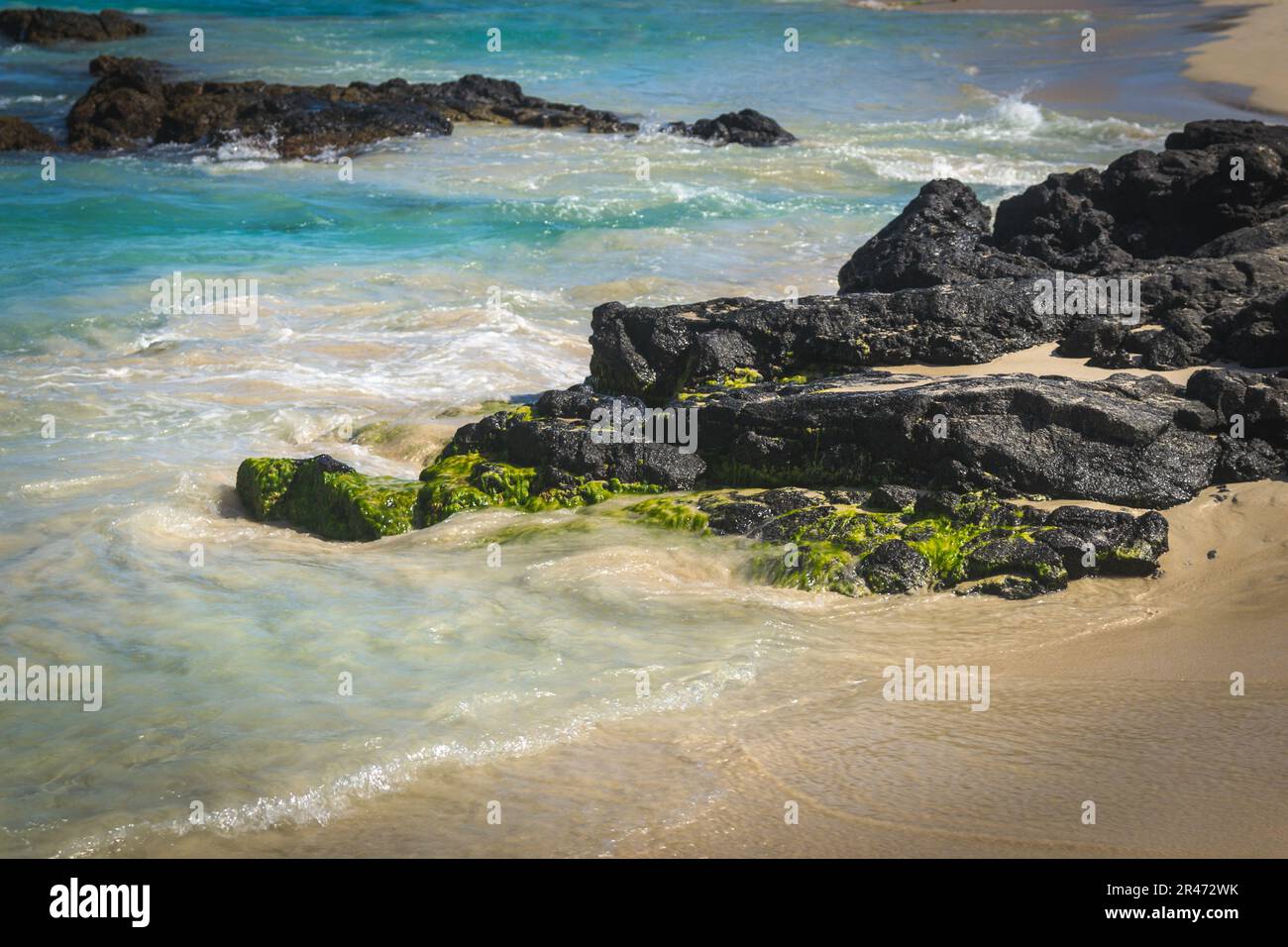 Ein ruhiger Strand in Hawaii mit Felsen und Algen am Ufer und türkisfarbenem Wasser. Stockfoto