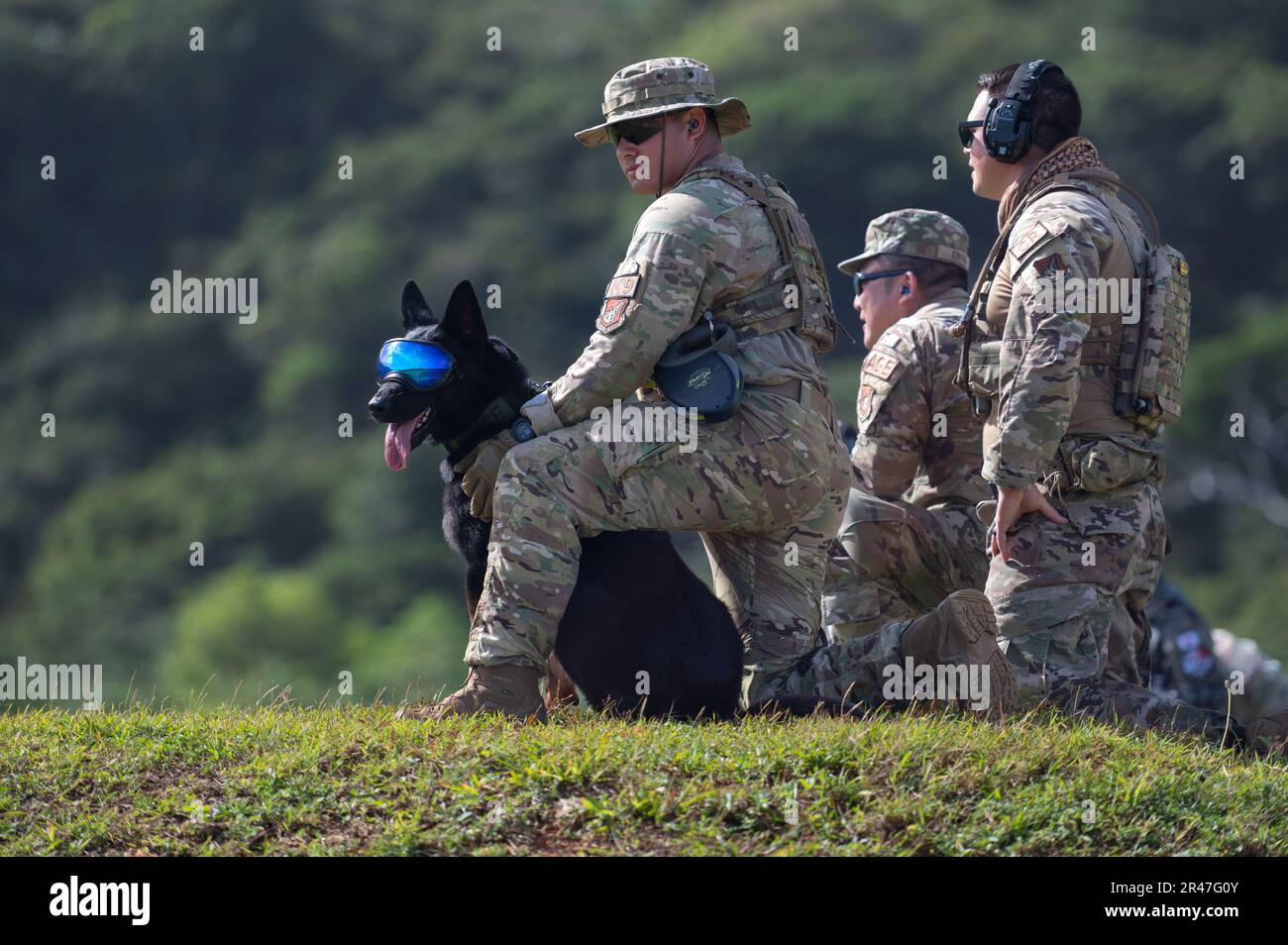 USA Air Force Staff Sgt. Luis Munoz, 36. Sicherheitsgeschwader, arbeitete Hundebetreuer, sitzt mit seinem MWD, Tomi, auf dem Luftwaffenstützpunkt Andersen, Guam, 24. Januar 2023. Während Pacific Defender durchliefen die MWDs verschiedene Übungen, um Massengeruch, abmontierte und montierte Taktiken, Räumungsarbeiten, Feuerwehr und Wasservertrauen zu berücksichtigen. Stockfoto