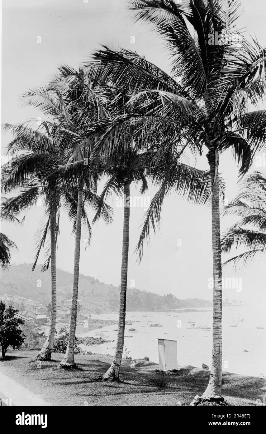 Insel Taboga und Bucht, Panama, c.between 1910 und 1920. Stockfoto