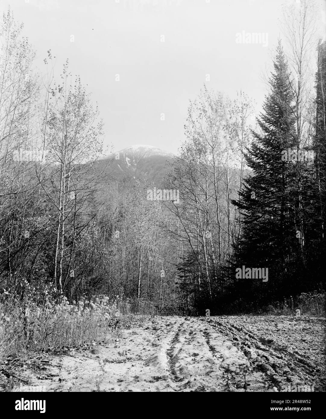 Mount Pleasant von der Basisstraße, White Mountains, CA 1900. Stockfoto