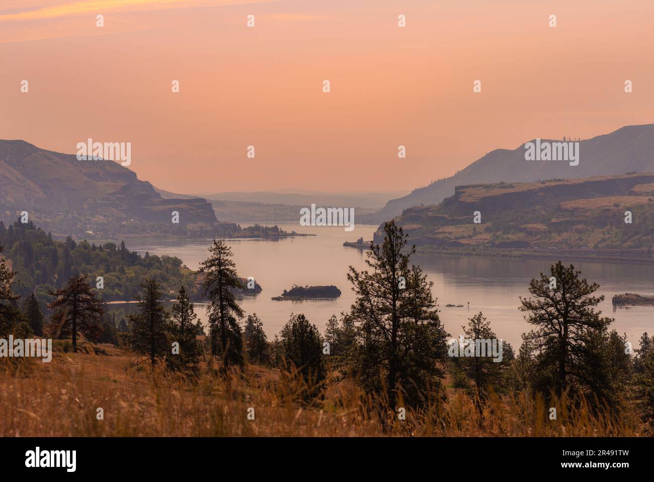 Goldene Stunde bei Sonnenuntergang über der wunderschönen Columbia River Gorge vom Catherine Creek Wandergebiet im Bundesstaat Washington Stockfoto