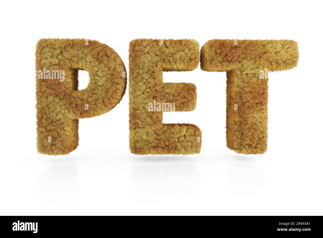 Das Wort PET sehr pelzig, geschrieben 3D auf weißem Hintergrund Stockfoto