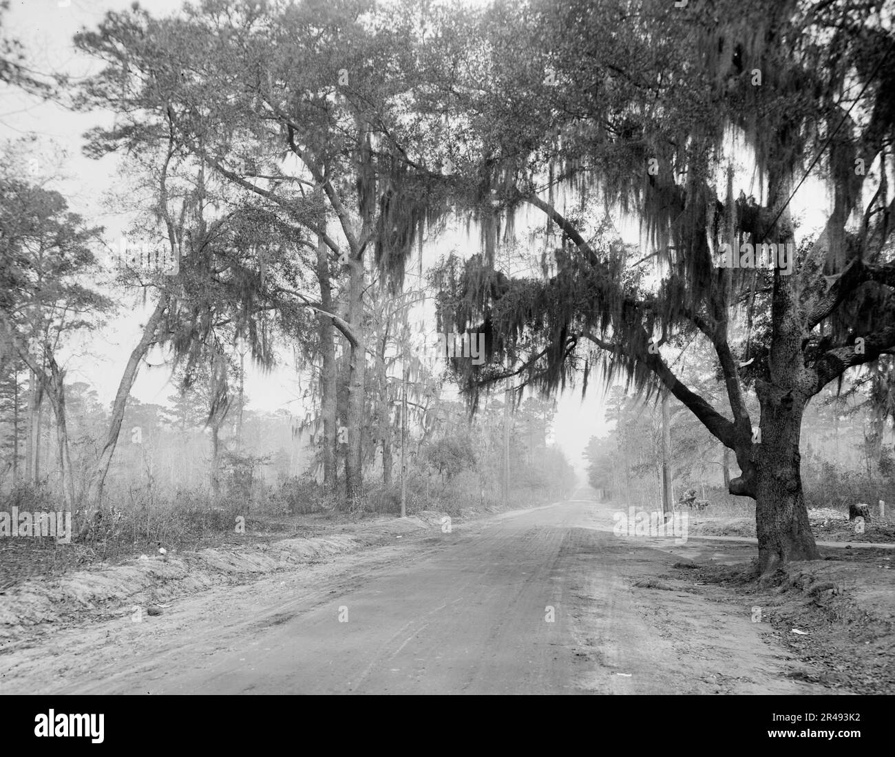 Autokurs, Savannah, Georgia, zwischen 1900 und 1920. Stockfoto