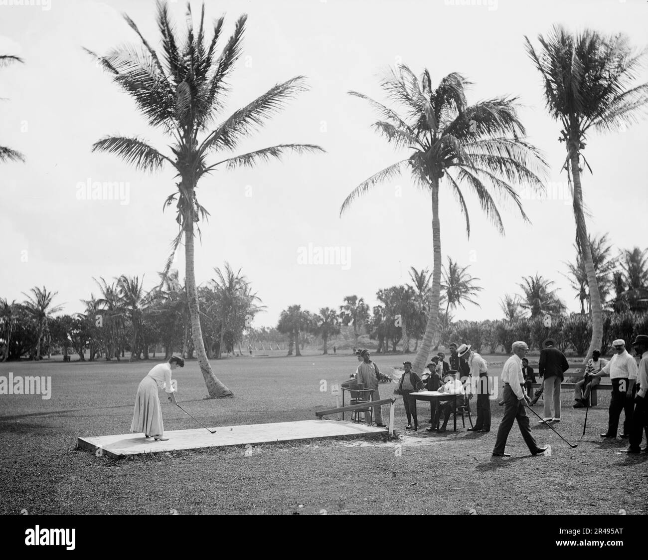 No. 1 Tee, Golf Links, Palm Beach, Florida, c1904. Stockfoto