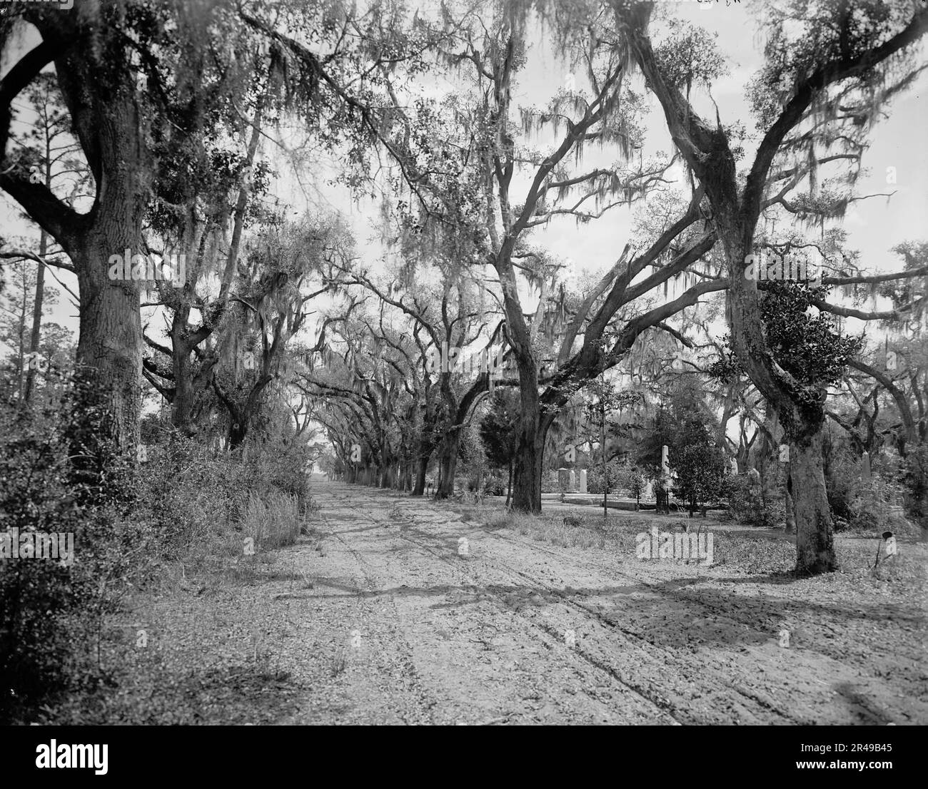 Bonaventure friedhof in der savanne ga SchwarzweißStockfotos und