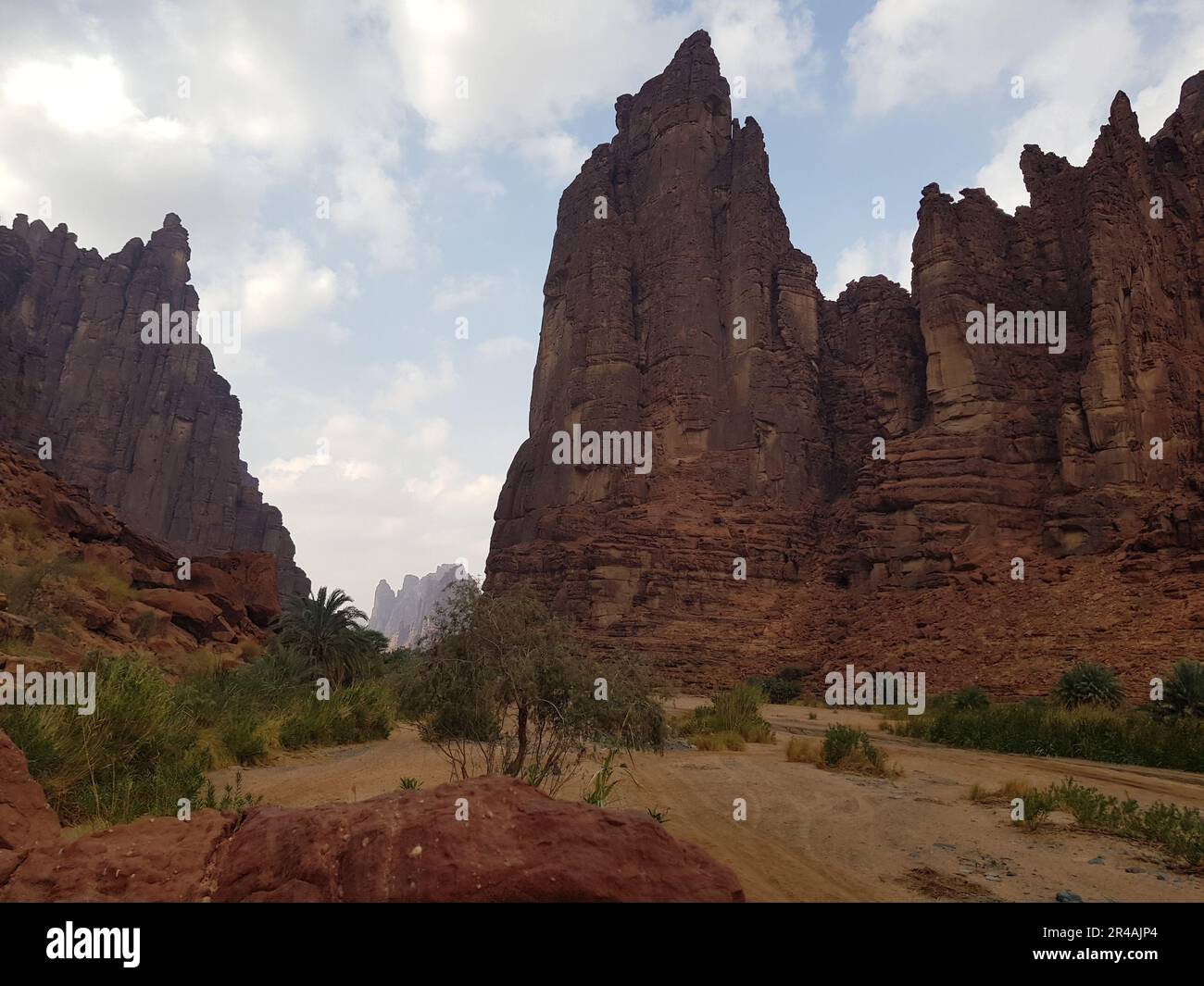 Eine gewundene Bergstraße mit hohen Klippen, Wadi Disah, Tabouk Region, Saudi Ara Stockfoto