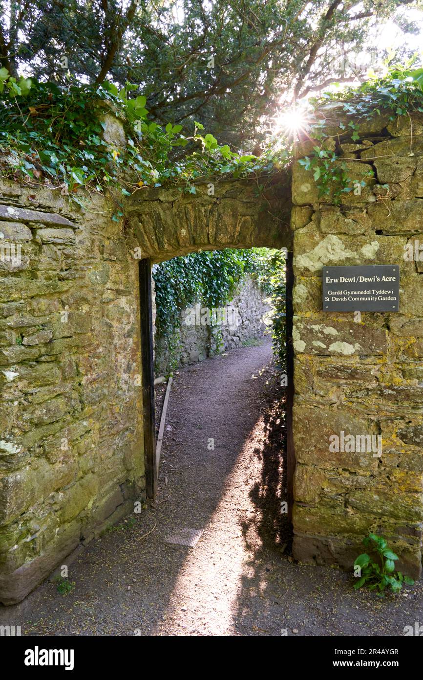 Gemeindegarten auf dem Gelände von Canonry, St. Davids, Pembrokeshire, West Wales Stockfoto