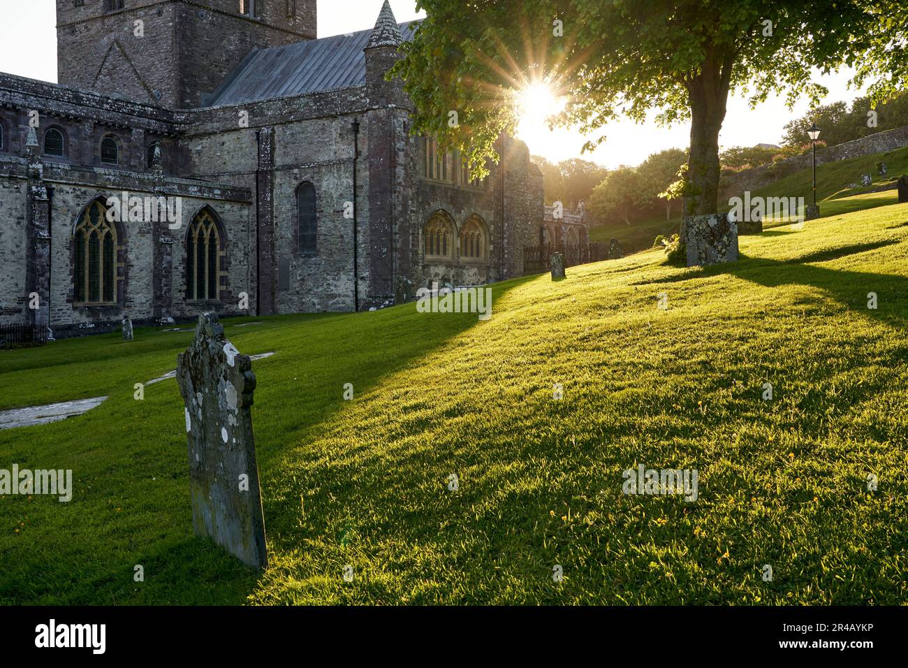 St Davids Cathedral in der frühen Morgensonne, St Davids, Pembrokeshire, West Wales Stockfoto