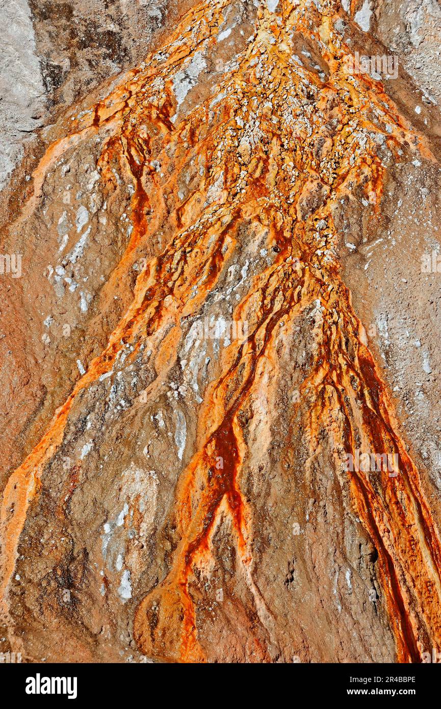 Algen- und Bakterienmatten und Mineralablagerungen aus heißen Quellen, dem Upper Geyser Basin, dem Yellowstone-Nationalpark, Wyoming, Algen- und Bakterienmatten, USA Stockfoto