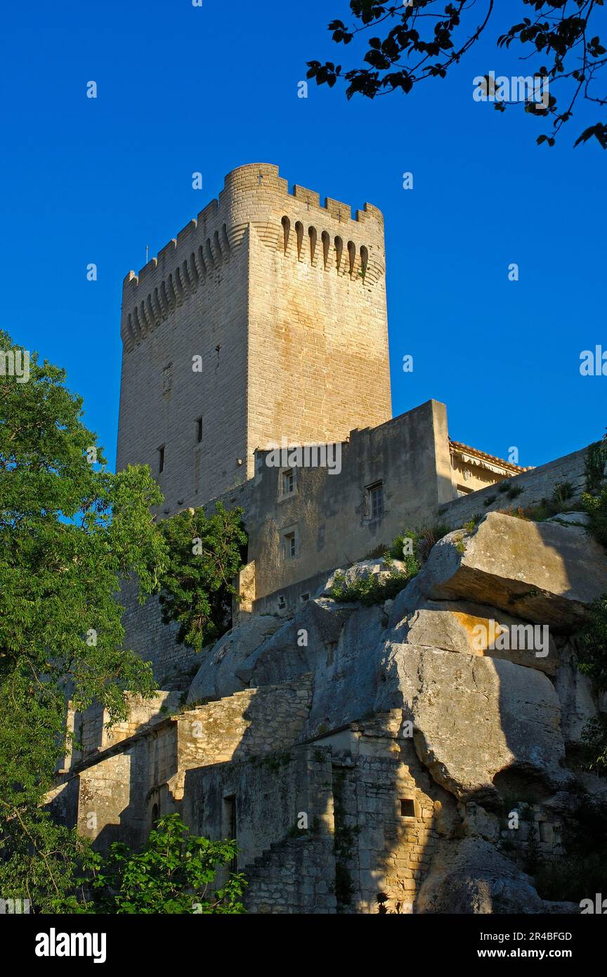 Montmajour Abbey, in der Nähe von Arles, Bouches-du-Rhone, Provence-Alpes-Cote d'Azur, Frankreich Stockfoto