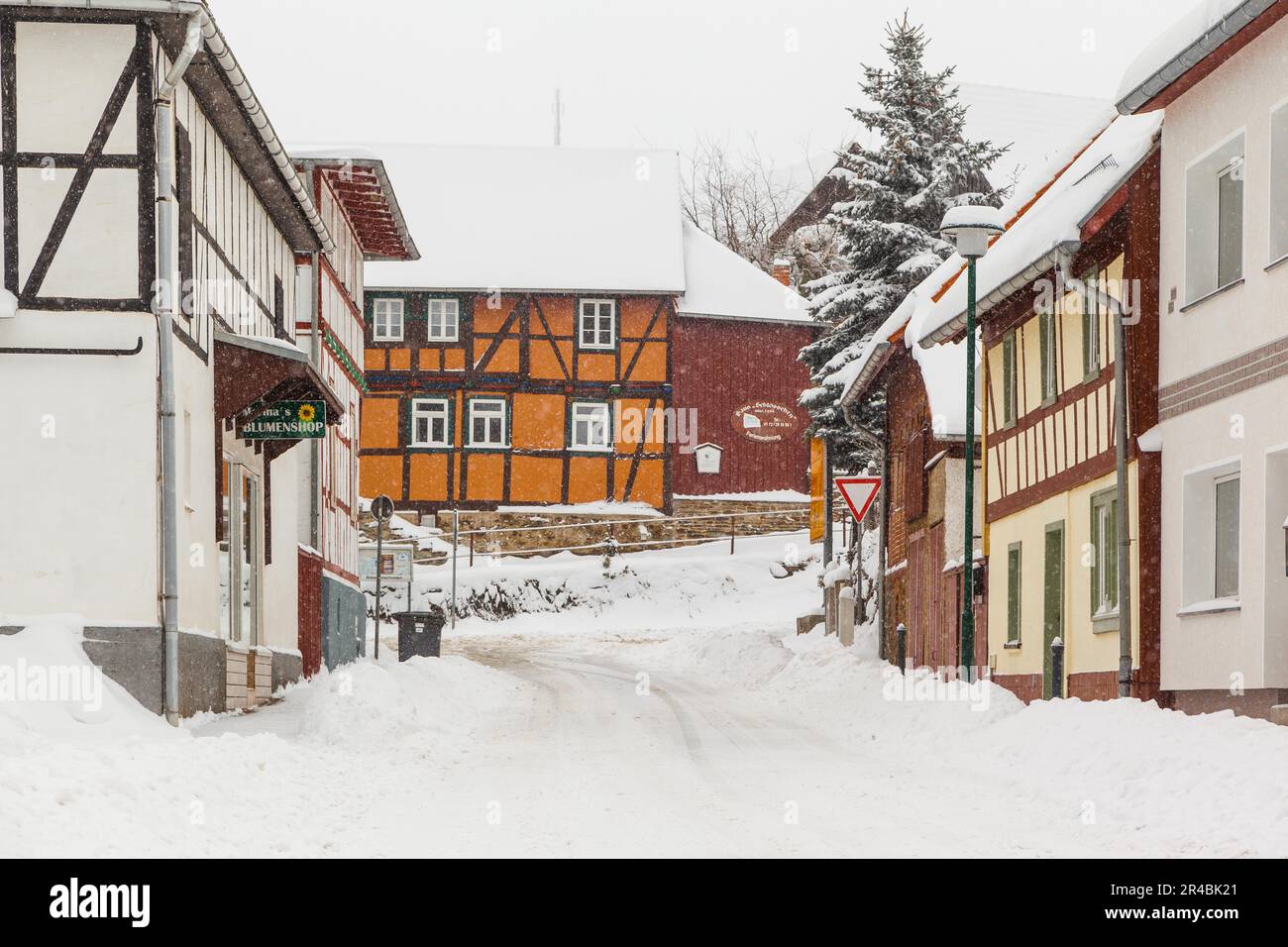 Guentersberge Harz im Winter Stockfoto