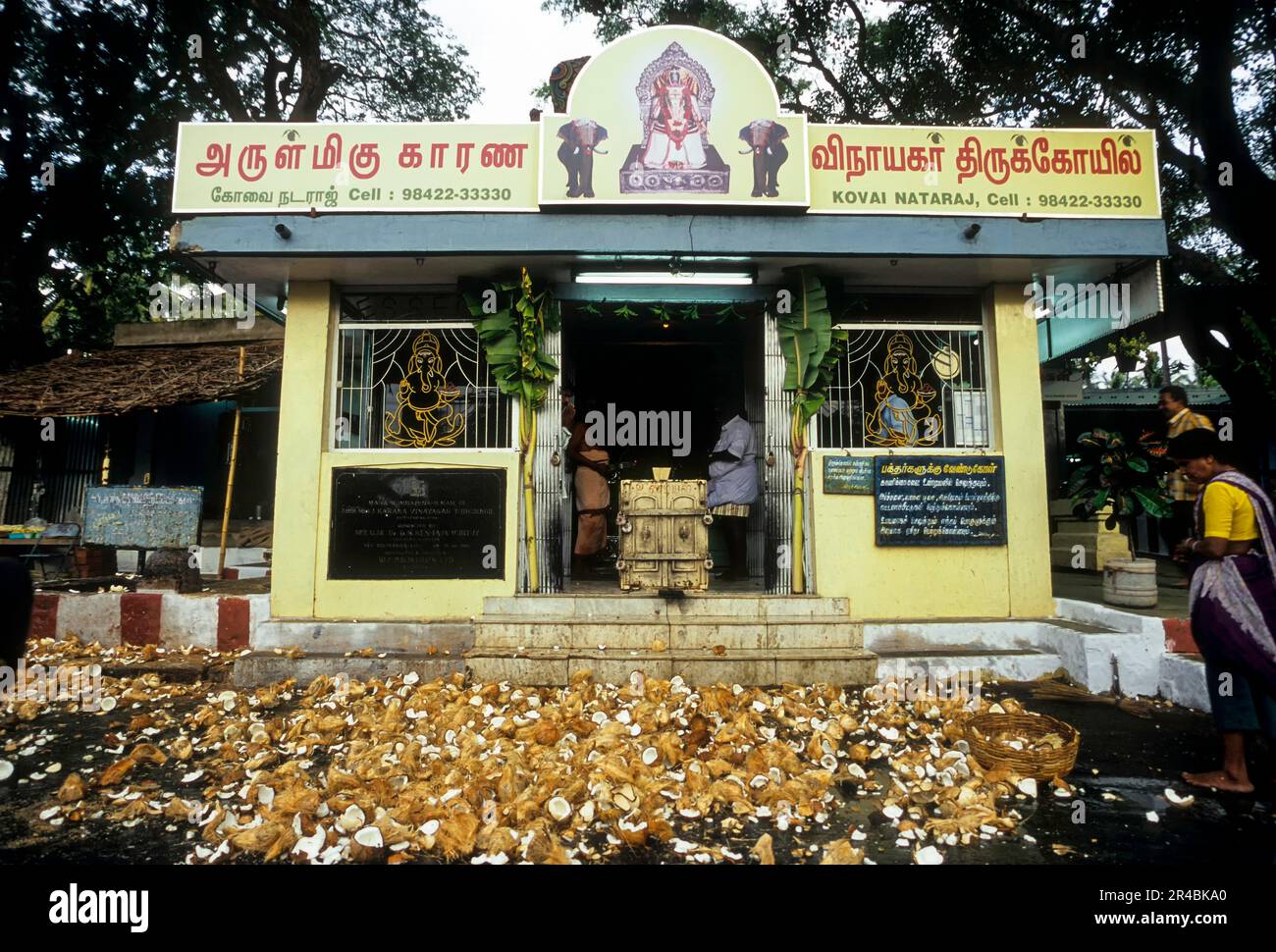 Ganesha-Tempel mit gebrochenen Kokosnüssen, Tamil Nadu, Südindien, Indien, Asien Stockfoto