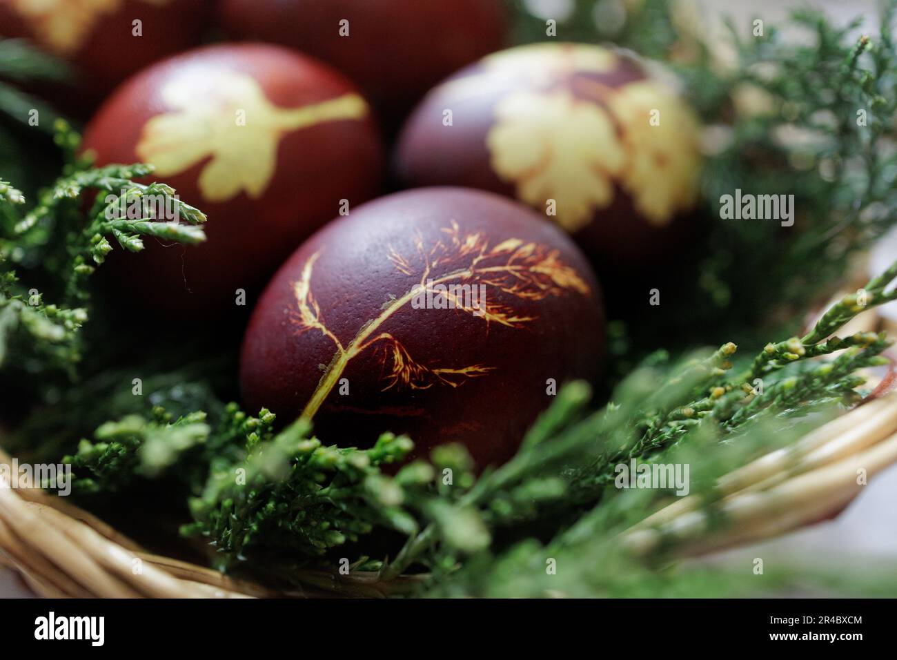 Eine Nahaufnahme roter Eier mit Blattmustern im grünen Gras Stockfoto