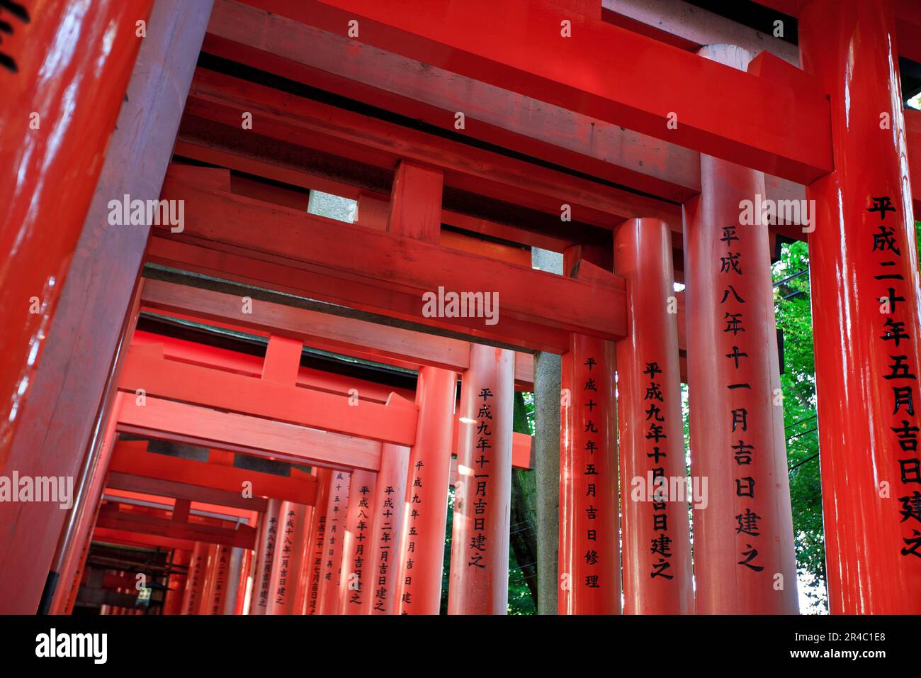 Eine Reihe roter Torii-Tore mit Hieroglyphen in der Nähe eines Tempels Stockfoto