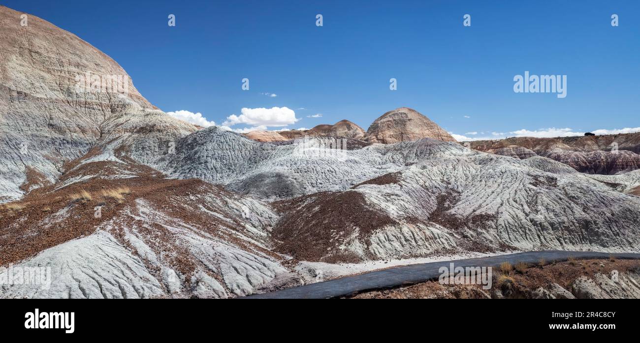 Panoramaaufnahmen von den Klippen des Blue Mesa im Petrified Forest National Park, Arizona, USA Stockfoto