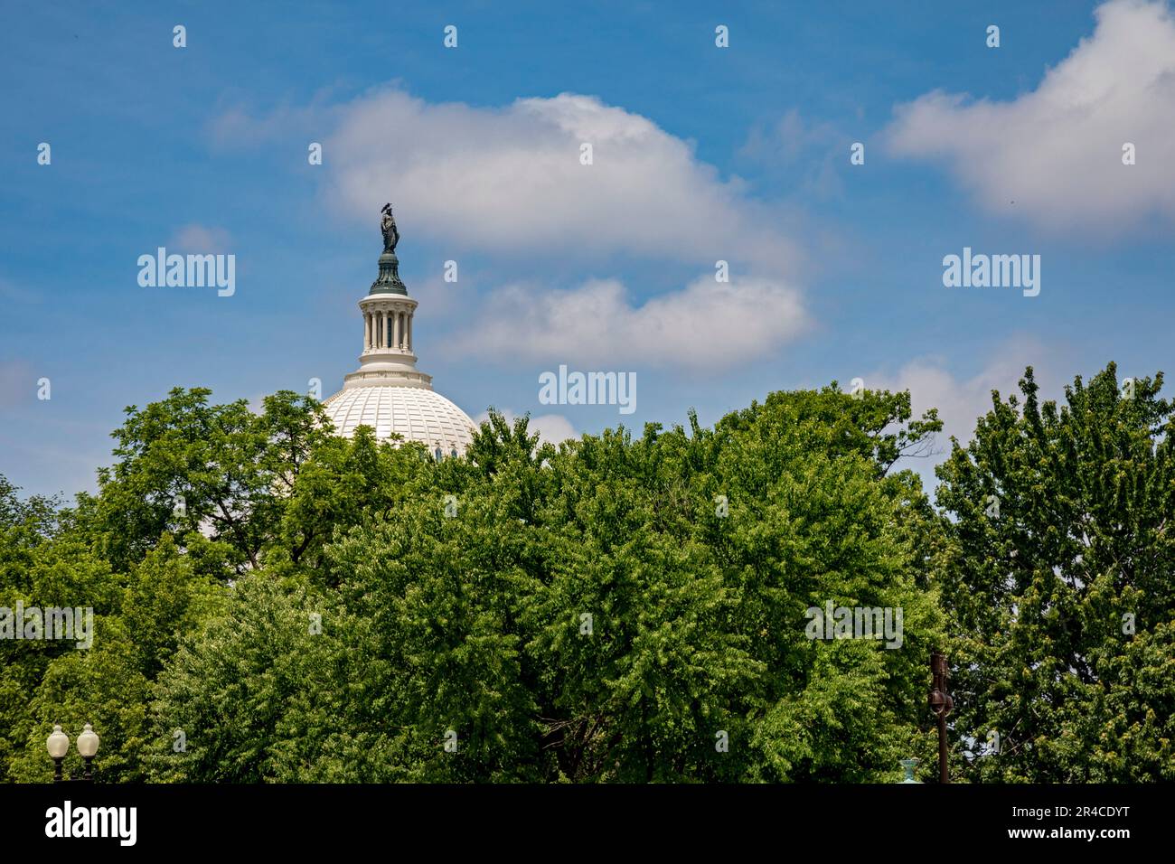 Washington, DC – die Freiheitsstatue auf der Kuppel des US-Kapitols. Stockfoto