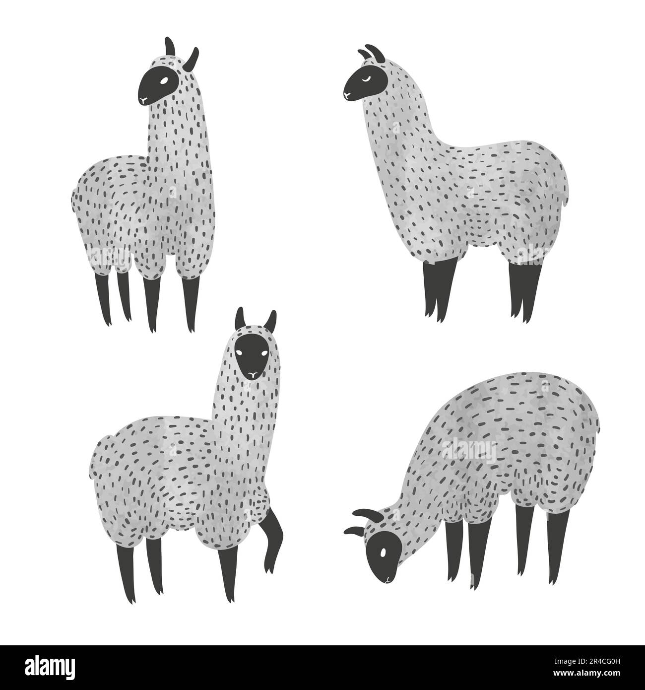 Set mit niedlichem Aquarell-Lama. Vektordarstellung handgezeichneter Lamas, isoliert auf weiß. Stock Vektor