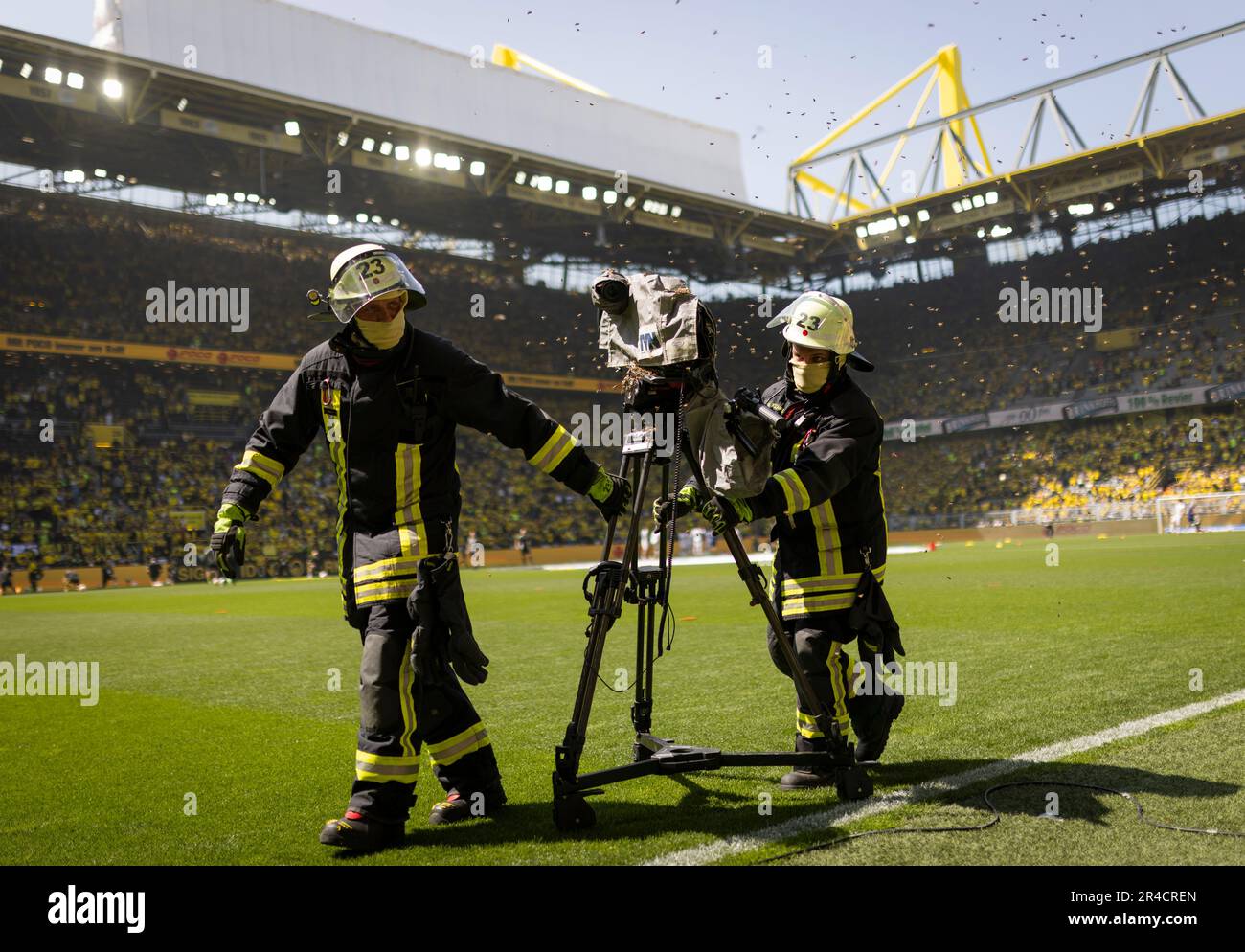 Dortmund, Deutschland. 27. Mai 2023. Bienen befallen Kamera im Signal Iduna Park und muss von der Feuerwehr entfernt werden Borussia Dortmund - FSV Main Stockfoto