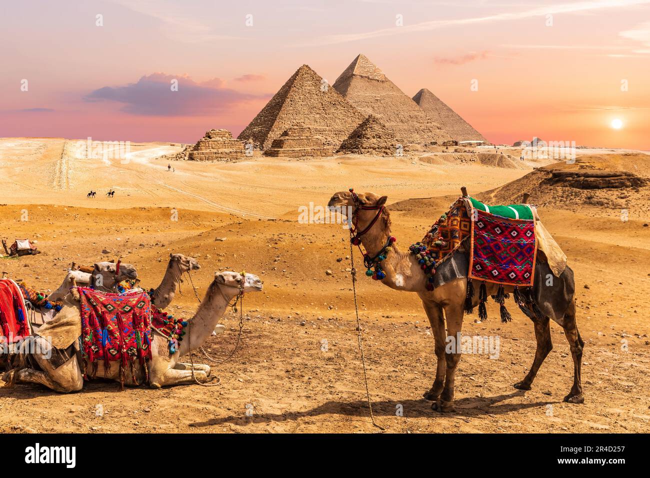 Kamelkarawane in der Wüste in der Nähe der Pyramiden von Ägypten, Gizeh. Stockfoto