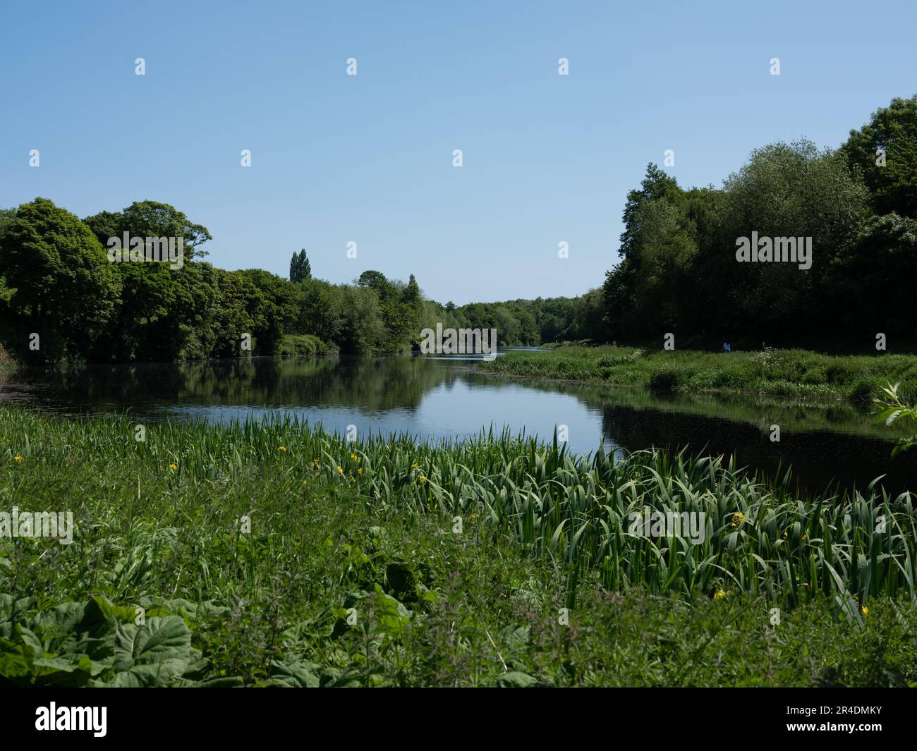 Entlang des Flusses Liffey in Dublin, Irland. Stockfoto