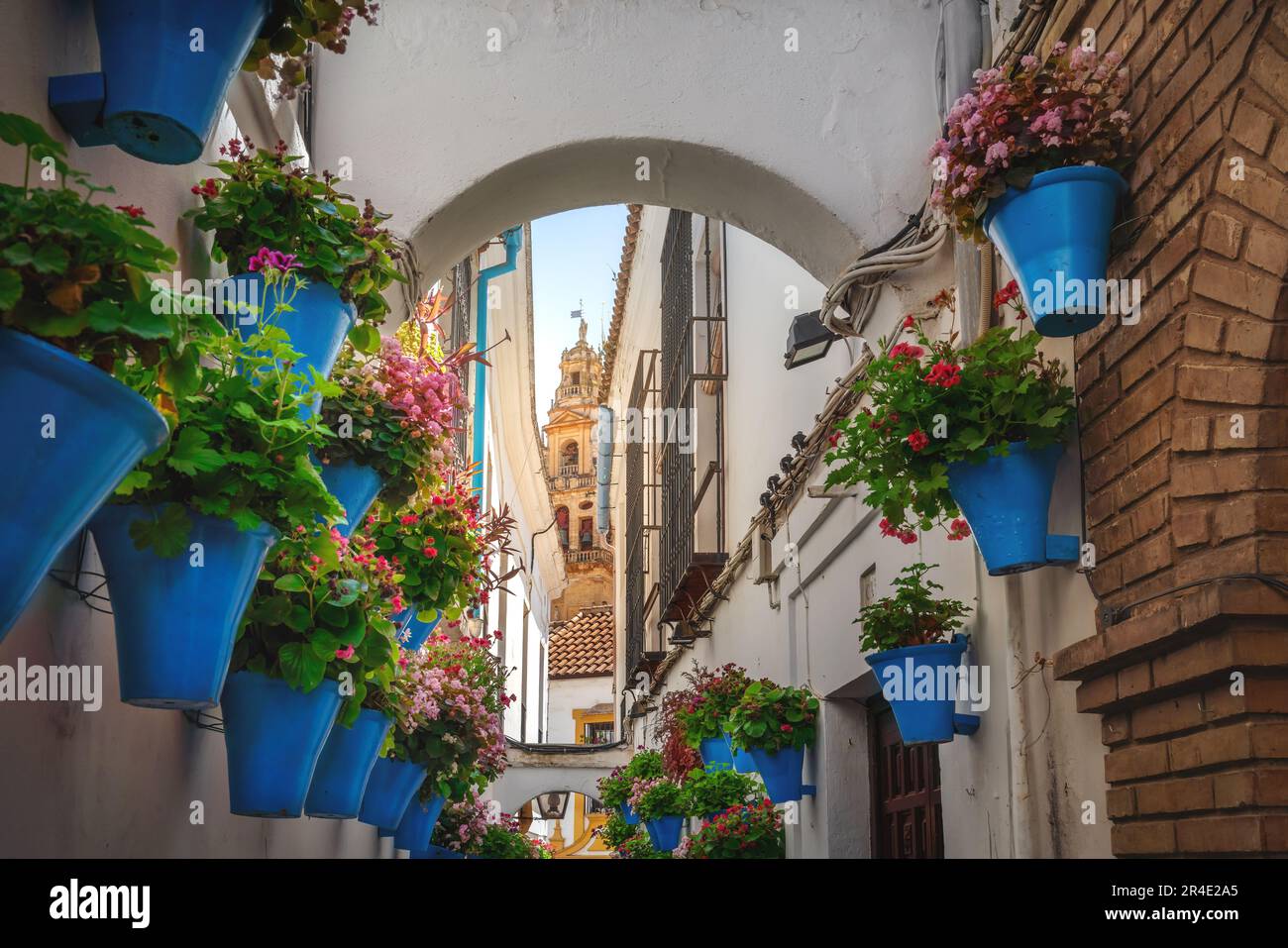 Calleja de las Flores Straße mit Blumentöpfen und Dom Turm - Cordoba, Andalusien, Spanien Stockfoto